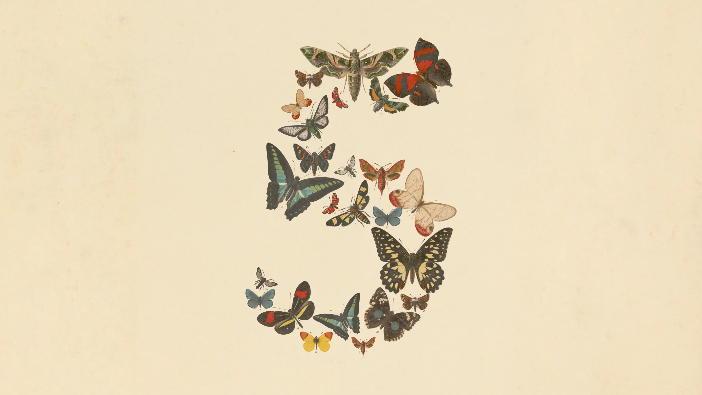 Illustration officielle de Claude Fable 5 d'Anthropic : un « 5 » composé de papillons et de papillons de nuit façon planche naturaliste, sur fond parchemin.
