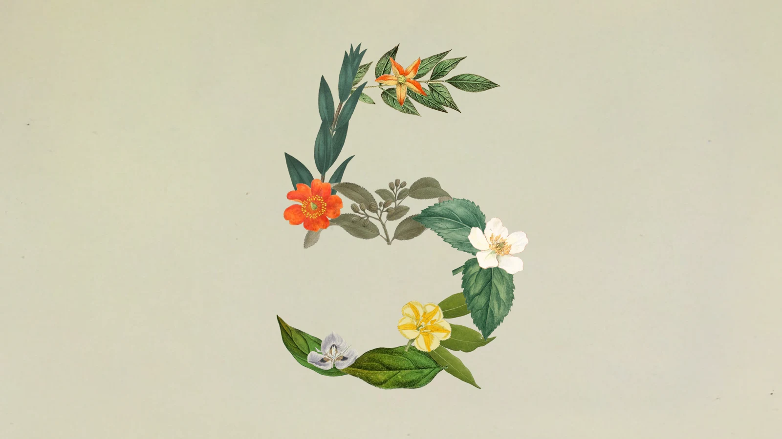Illustration officielle d'Anthropic pour Claude Fable 5 : un chiffre 5 composé de fleurs et de feuillages façon planche botanique, sur fond vert pâle.